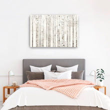 Birch Trees on White