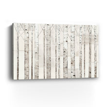 Birch Trees on White