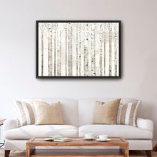 Birch Trees on White