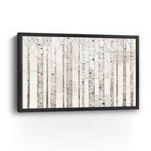 Birch Trees on White