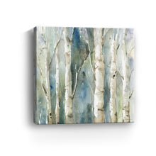 River Birch I