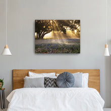 Morning Meadow Sunrise