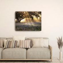 Morning Meadow Sunrise