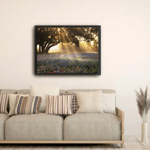 Morning Meadow Sunrise