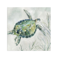 Seaglass Turtle I
