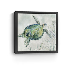 Seaglass Turtle I