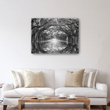 Oak Alley Reflection