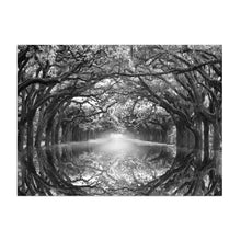 Oak Alley Reflection