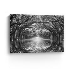 Oak Alley Reflection