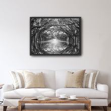 Oak Alley Reflection