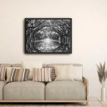 Oak Alley Reflection