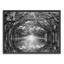 Oak Alley Reflection