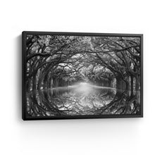 Oak Alley Reflection