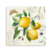 Linen Lemons