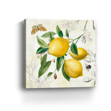 Linen Lemons