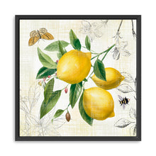 Linen Lemons