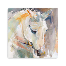 Beautiful Contemplation