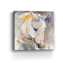 Beautiful Contemplation