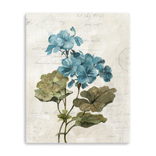 Linen Geranium