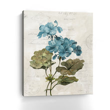 Linen Geranium