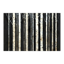 Birch Trees I