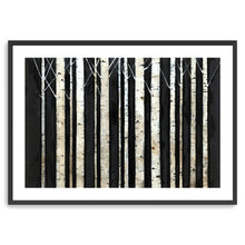 Birch Trees I
