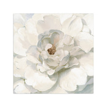 Neutral Peony