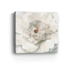 Neutral Peony