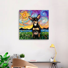 Chihuahua Black and Tan