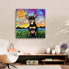 Chihuahua Black and Tan