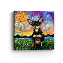 Chihuahua Black and Tan