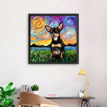 Chihuahua Black and Tan