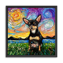 Chihuahua Black and Tan