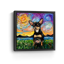 Chihuahua Black and Tan