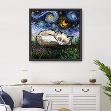 Sleepy Ragdoll Kitten Night