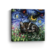 Sleepy Tabby Kitten Night