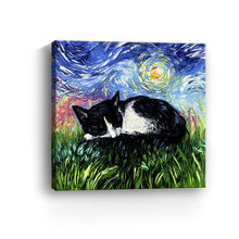 Sleepy Tuxedo Kitten Night