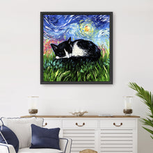 Sleepy Tuxedo Kitten Night