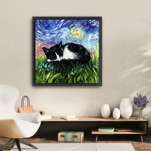 Sleepy Tuxedo Kitten Night