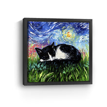 Sleepy Tuxedo Kitten Night