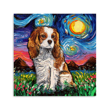 Cavalier King Charles Night