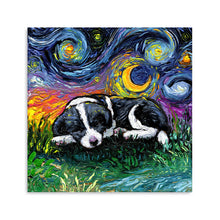 Sleepy Border Collie Pup Night