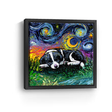 Sleepy Border Collie Pup Night