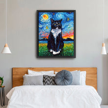 Tuxedo Cat Night I
