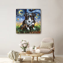 Australian Sheperd Night