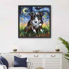 Australian Sheperd Night