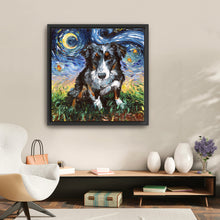 Australian Sheperd Night