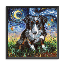 Australian Sheperd Night
