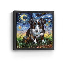 Australian Sheperd Night