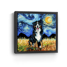 Bernese Mountain Dog